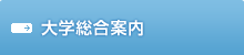 大学総合案内