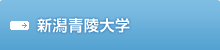 青陵大学