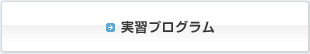実習プログラム