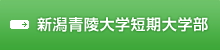 新潟青陵大学短期大学部