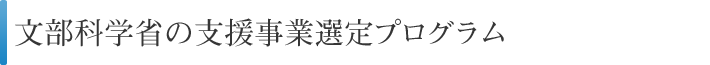 文部科学省の支援事業選定プログラム