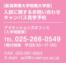 新潟青陵大学短期大学部の入試に関するお問い合わせ先 025-266-8833