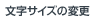 文字サイズ変更