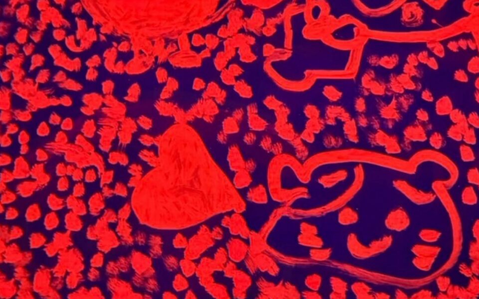 活動の様子5
